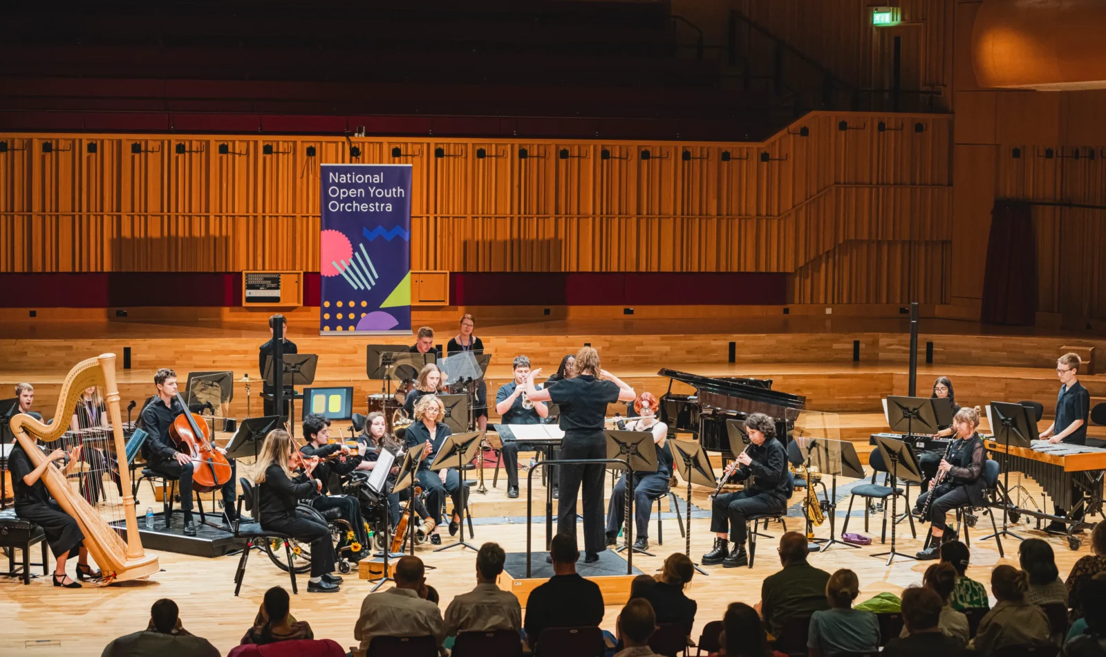 The National Open Youth Orchestra perform at Hoddinott Hall.